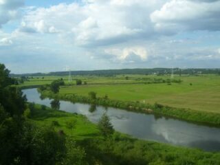 Narew