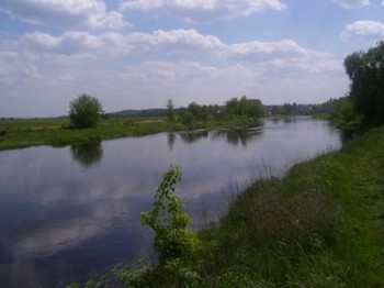 Narew
