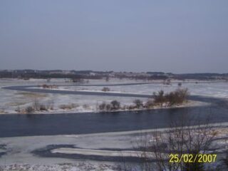 Narew