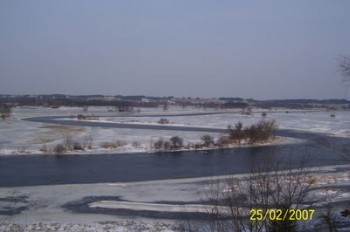 Narew