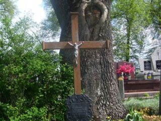 Cmentarz w Drozdowie grob-marii-ze-szczygielskich-lutoslawskiej-zony-franciszka