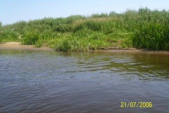 narew