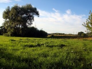 Grodzisko w Starej Łomży grod1a