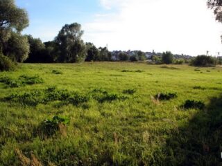 Grodzisko w Starej Łomży grod1b