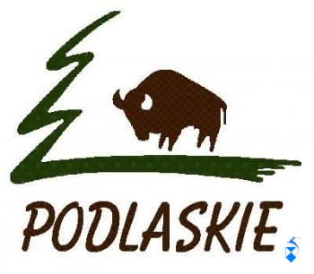 logo1
