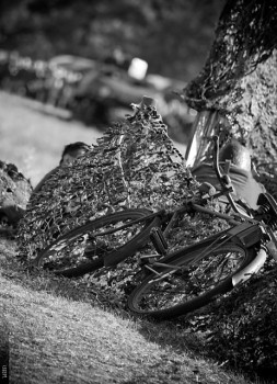 FOT: Pawel Wadolowski www