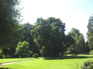 Muzeum przyrody w Drozdowie - Park 107 010