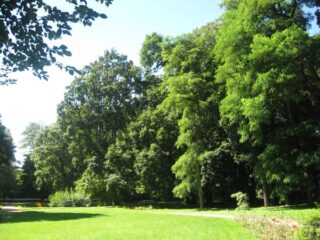 Muzeum przyrody w Drozdowie - Park 107 011