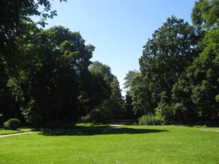 Muzeum przyrody w Drozdowie - Park 107 012