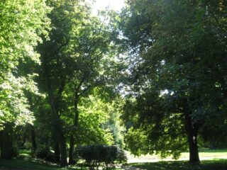 Muzeum przyrody w Drozdowie - Park 107 013