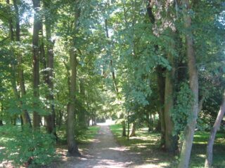 Muzeum przyrody w Drozdowie - Park 107 016