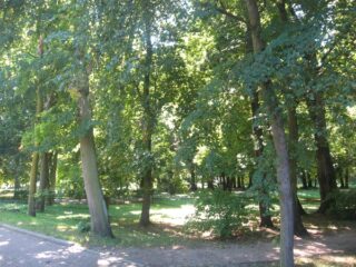 Muzeum przyrody w Drozdowie - Park 107 017