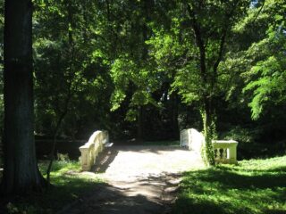 Muzeum przyrody w Drozdowie - Park 107 018