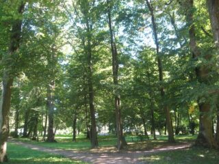 Muzeum przyrody w Drozdowie - Park 107 024