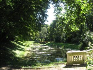 Muzeum przyrody w Drozdowie - Park 107 025