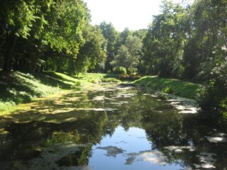 Muzeum przyrody w Drozdowie - Park 107 026