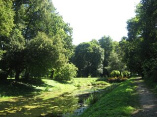 Muzeum przyrody w Drozdowie - Park 107 030