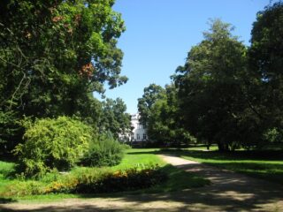 Muzeum przyrody w Drozdowie - Park 107 032