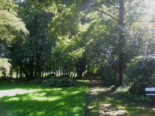 Muzeum przyrody w Drozdowie - Park 107 034