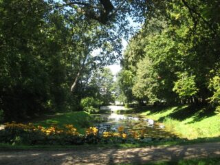 Muzeum przyrody w Drozdowie - Park 107 035