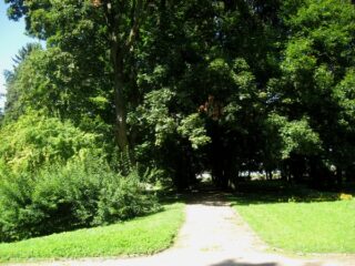 Muzeum przyrody w Drozdowie - Park 107 038