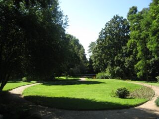 Muzeum przyrody w Drozdowie - Park 107 044