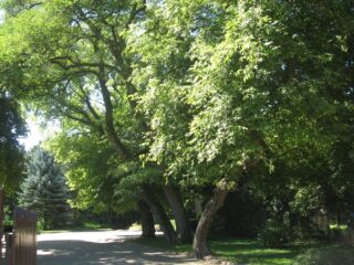 Muzeum przyrody w Drozdowie - Park 107 054