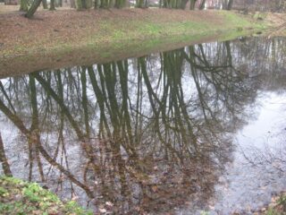 Muzeum przyrody w Drozdowie - Park 122 024