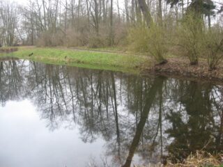 Muzeum przyrody w Drozdowie - Park 122 026