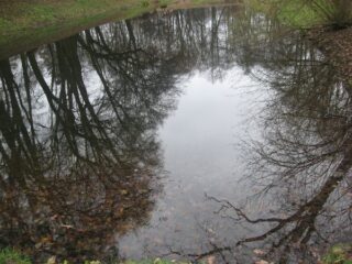 Muzeum przyrody w Drozdowie - Park 122 030