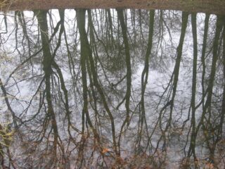 Muzeum przyrody w Drozdowie - Park 122 031