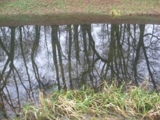 Muzeum przyrody w Drozdowie - Park 122 033