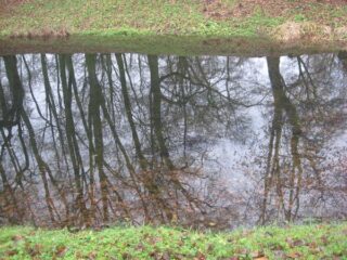 Muzeum przyrody w Drozdowie - Park 122 034