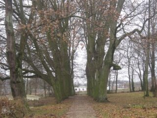 Muzeum przyrody w Drozdowie - Park 122 038
