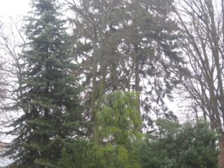 Muzeum przyrody w Drozdowie - Park 122 039