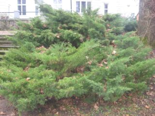 Muzeum przyrody w Drozdowie - Park 122 042