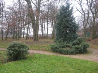 Muzeum przyrody w Drozdowie - Park 122 043