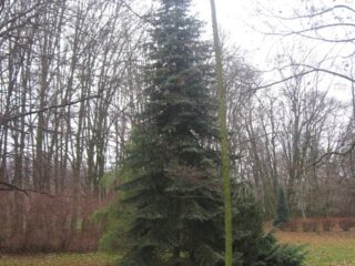 Muzeum przyrody w Drozdowie - Park 122 045