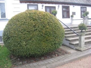 Muzeum przyrody w Drozdowie - Park 122 046