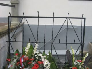 Muzeum przyrody w Drozdowie - Park 122 048