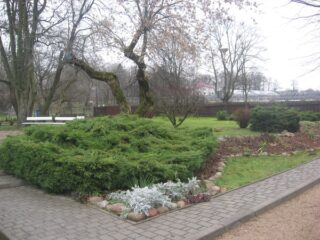Muzeum przyrody w Drozdowie - Park 122 049