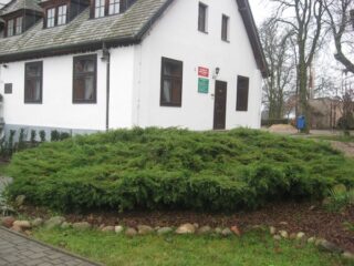 Muzeum przyrody w Drozdowie - Park 122 055