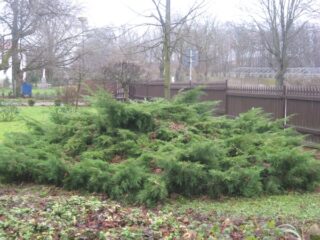 Muzeum przyrody w Drozdowie - Park 122 057