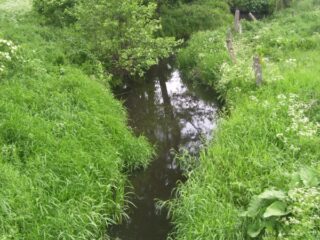 Łomża. Ulica Poznańska Ul