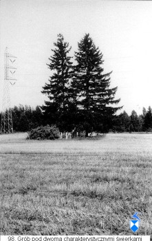 Mogiła pod świerkami