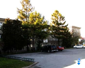 Elewacja wschodnia część północna