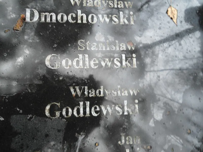 Fragment tablicy nagrobnej z nazwiskami Władysława i Stanisława Godlewskich