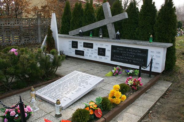 Pamiętnik Jana Marchewki