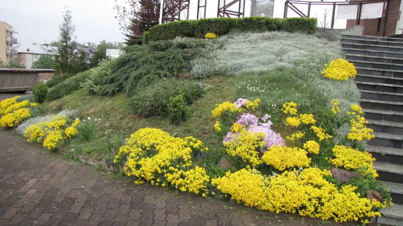 Kwiaty z lewej strony schodów. 2014 rok