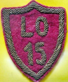 Tarcza szkolna LO 15